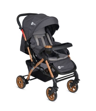 4 Baby AB310 Active Gold Çift Yönlü Bebek Arabası / Antrasit 